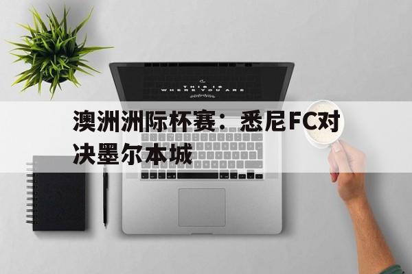乐动体育入口-悉尼fcvs墨尔本城