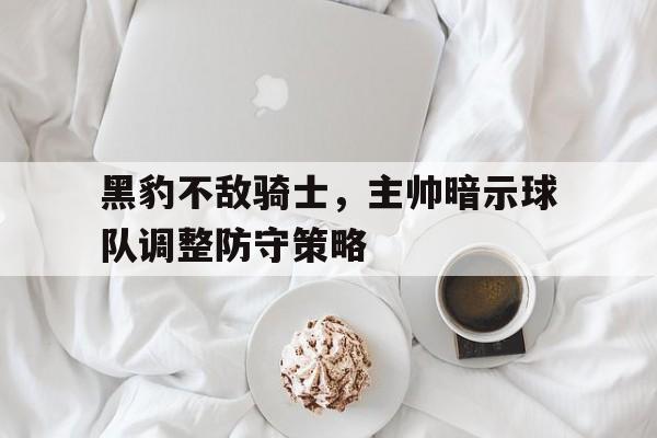 乐动体育入口-黑豹阵容